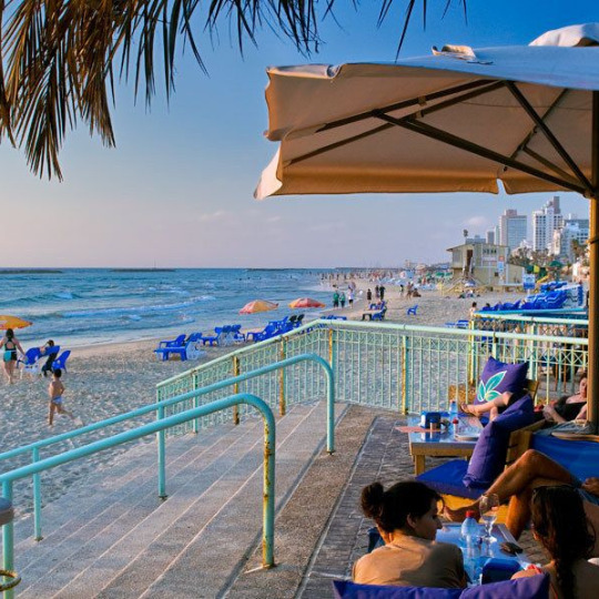Short Term Rental Tel Aviv discover exceptional apartments, ranging from 2 rooms to rooftop, with a pool and close to the sea.